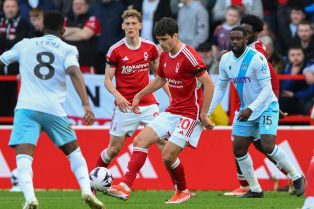 内寻找强有 内寻找强有